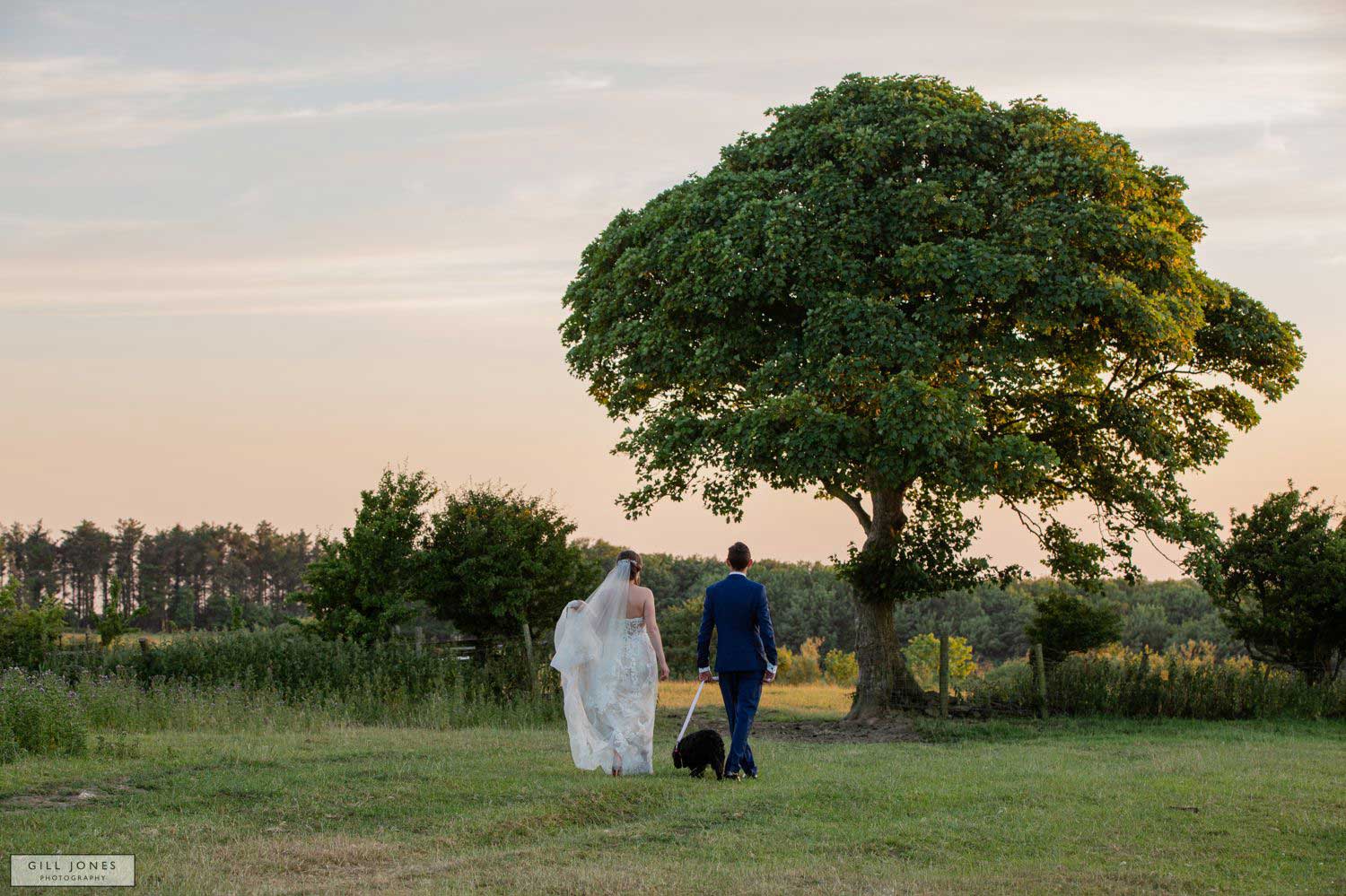 An Anglesey Farm wedding