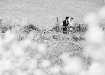 bride and groom leaning on a gate in a Anglesey field