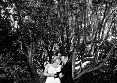 bride and groom caress whilst standing by a huge tree in the background