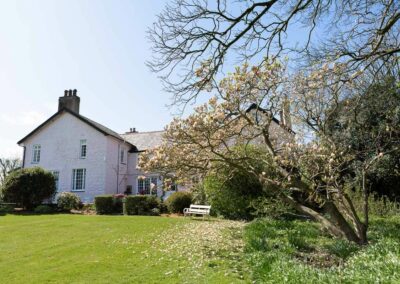 external of Plas Dinas Country House with magnolia tree in full bloom and petals on the grass by Anglesey wedding photographer Gill Jones Photography