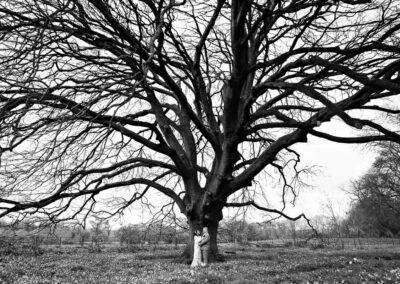 bride and groom hugging against a large tree by Anglesey wedding photographer Gill Jones Photography