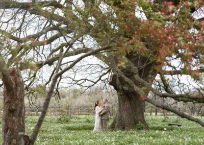 bride and groom caress beneath a tree in blossom by Anglesey wedding photographer Gill Jones Photography