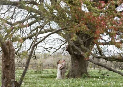 bride and groom caress beneath a tree in blossom by Anglesey wedding photographer Gill Jones Photography