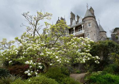 Chateau Rhianfa with a magnolia tree in full bloom by Anglesey wedding photographer Gill Jones Photography