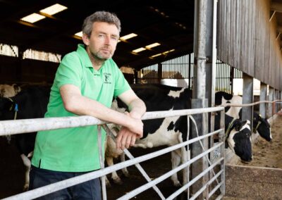 a farmer leans his arms against a metal gate with his cows in the background by north wales commercial photographer Gill Jones Photography